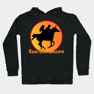 Real-Life Unicorn Bi Pride Threesome Hoodie